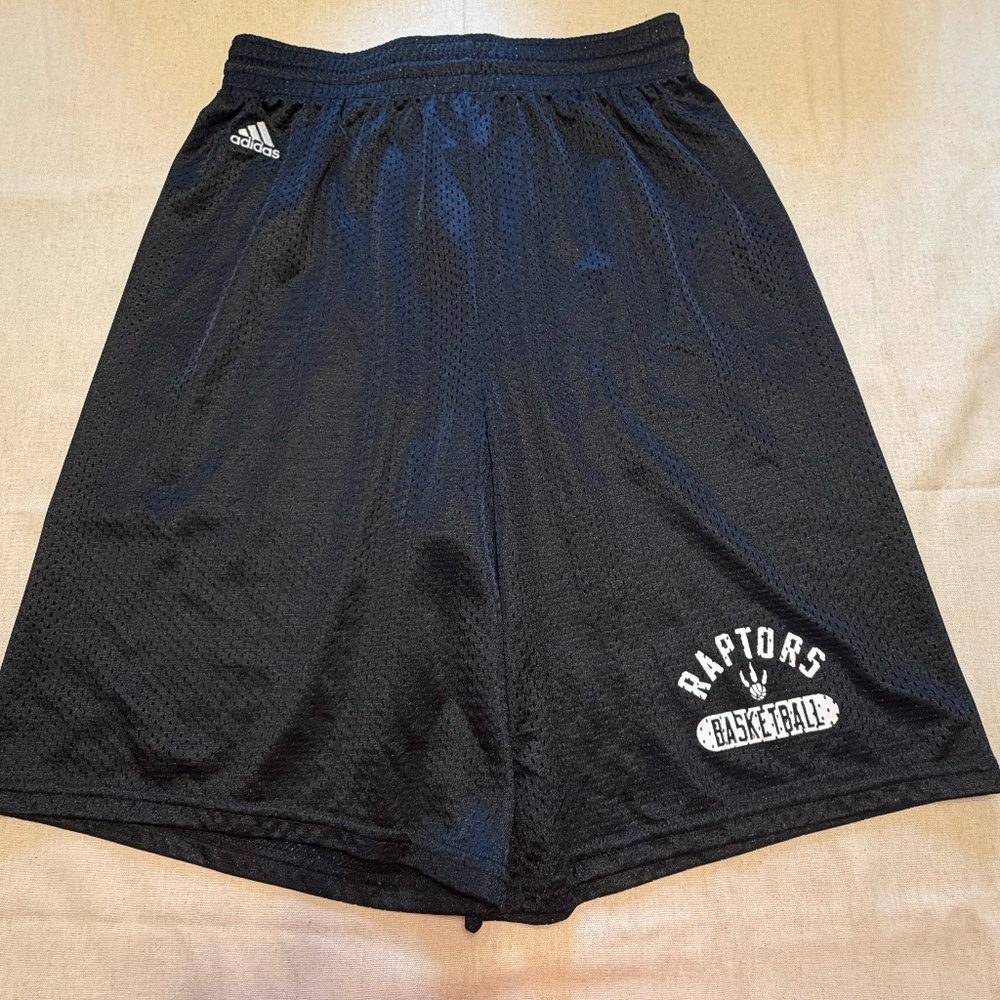 Raptors Adidas Shorts